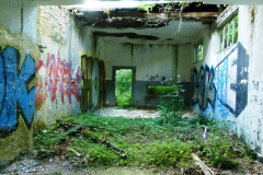 P1050771