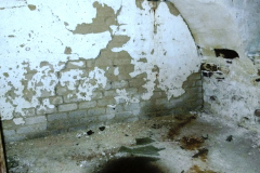 P1050930