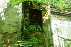 P1050939