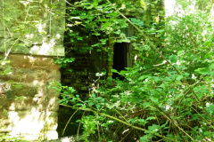 P1050940