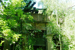 P1050951