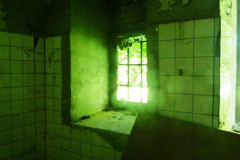 P1050972