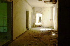 P1050987