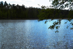 P1040735