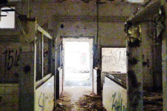 P1090650