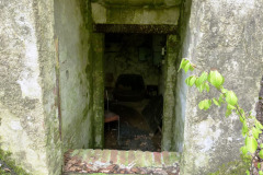 P1050192