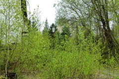 P1050270