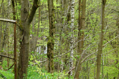 P1050283