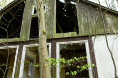 P1050323