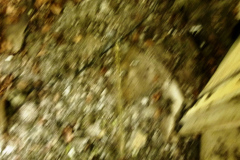 P1050327