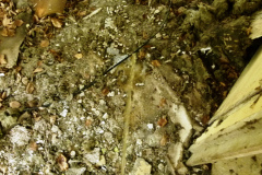 P1050330