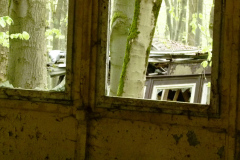 P1050331