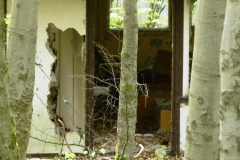 P1050333