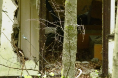 P1050334