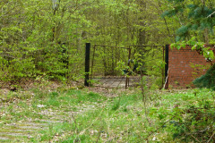 P1050338