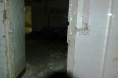 20250518093505-5d952edb