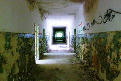 P1070904