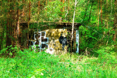 P1070911