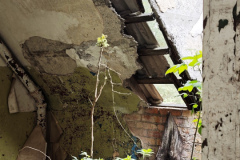 MVIMG_20260509_143500