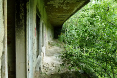 P1060793