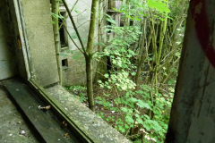 P1060794
