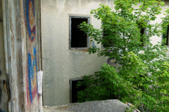 P1060809
