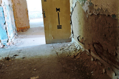 MVIMG_20260510_093022