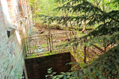 MVIMG_20260510_094907