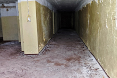 MVIMG_20260510_095047