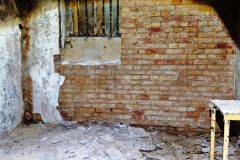 MVIMG_20260510_095235