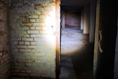 MVIMG_20260510_095301
