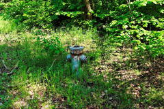 MVIMG_20260510_100834