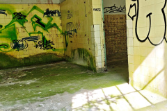 MVIMG_20260510_101819