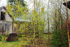 MVIMG_20260419_154150