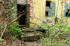 P1020493
