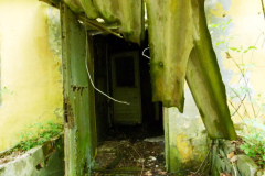 P1020498