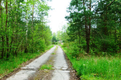 P1020503