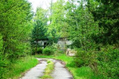 P1020504