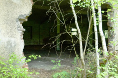P1020509