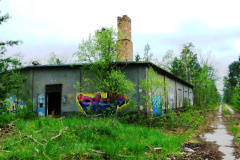 P1020519