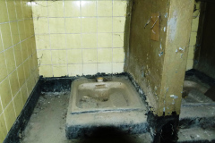 P1020534