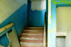P1020602
