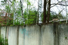 P1020623