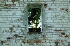 P1040594