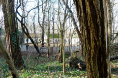 P1040626