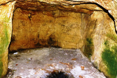 P1040641