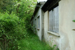 P1050521