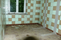 P1050532