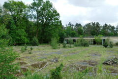 P1050539