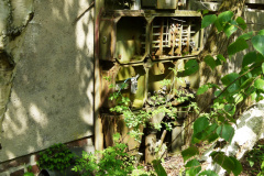 P1050562